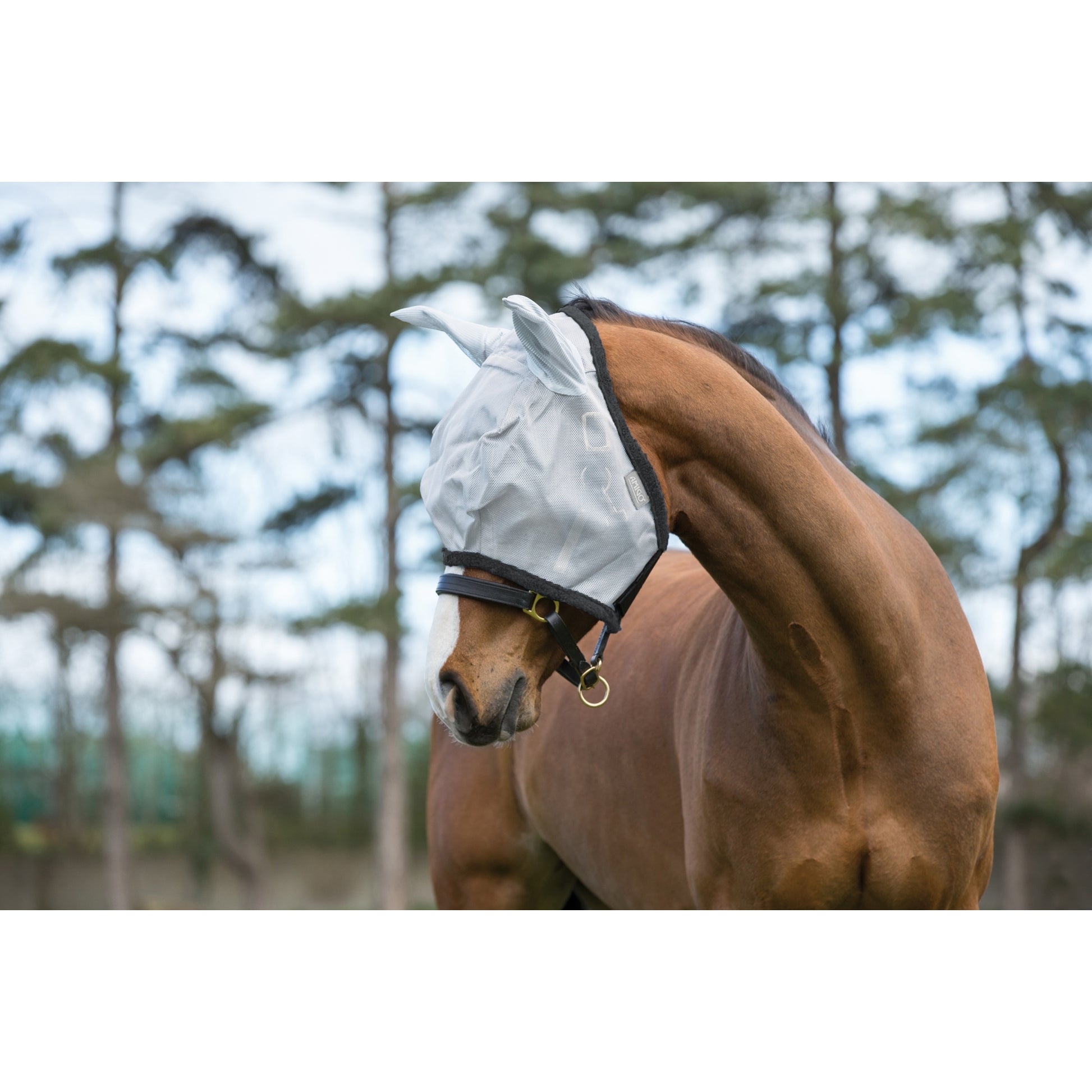 Amigo Fly Mask