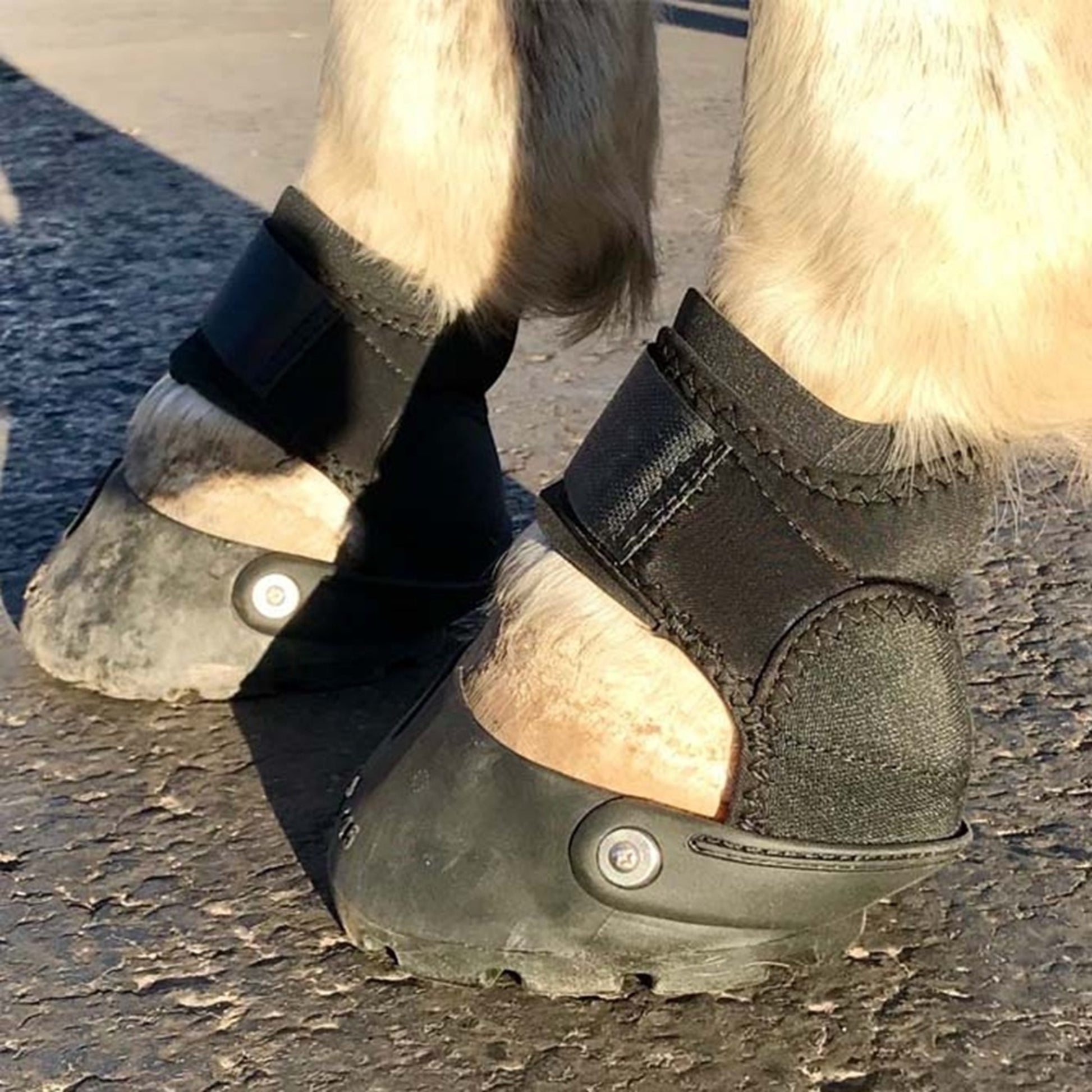 EasyCare Easyboot Glove Soft Hoof Boot