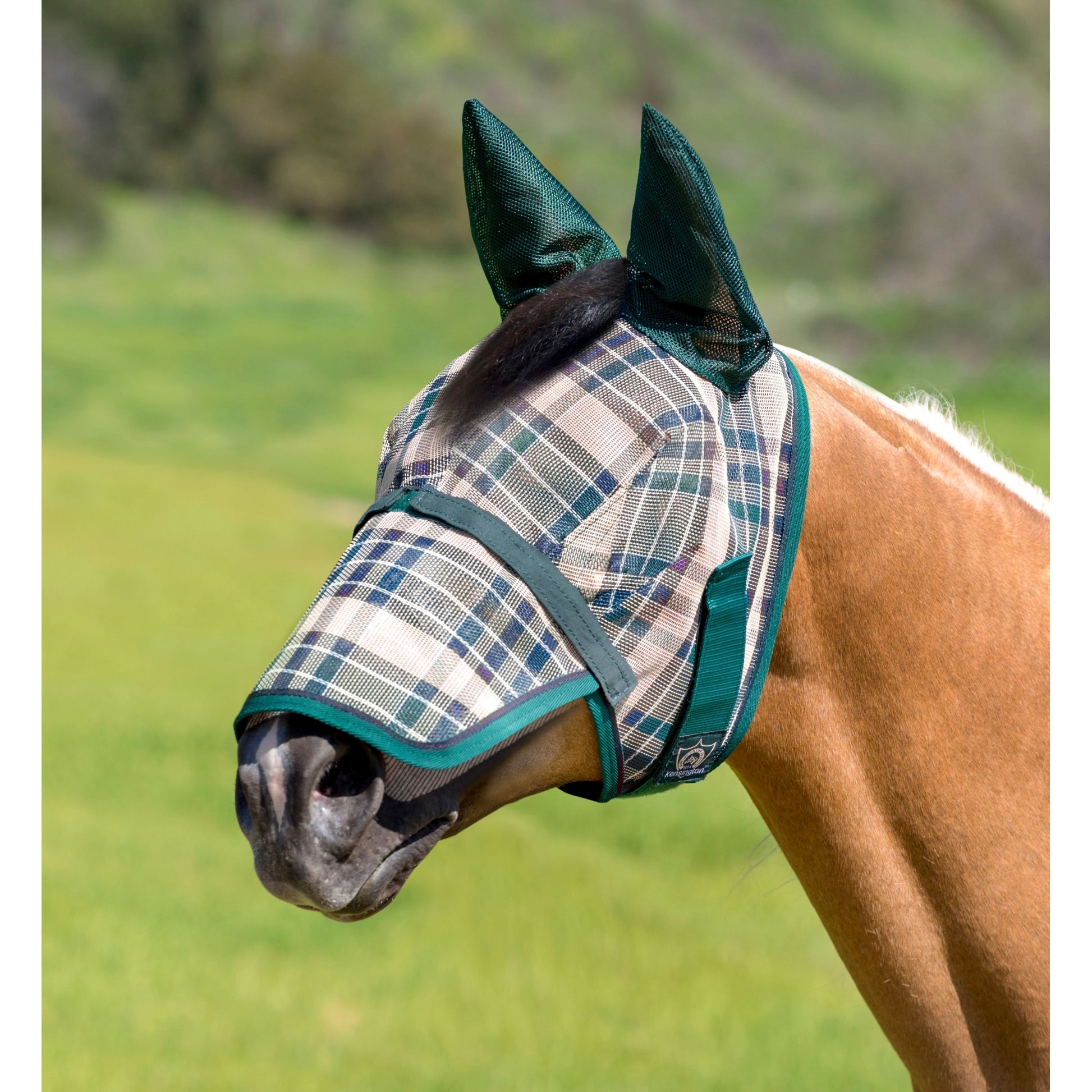 Kensington Mask with Nose and Ears