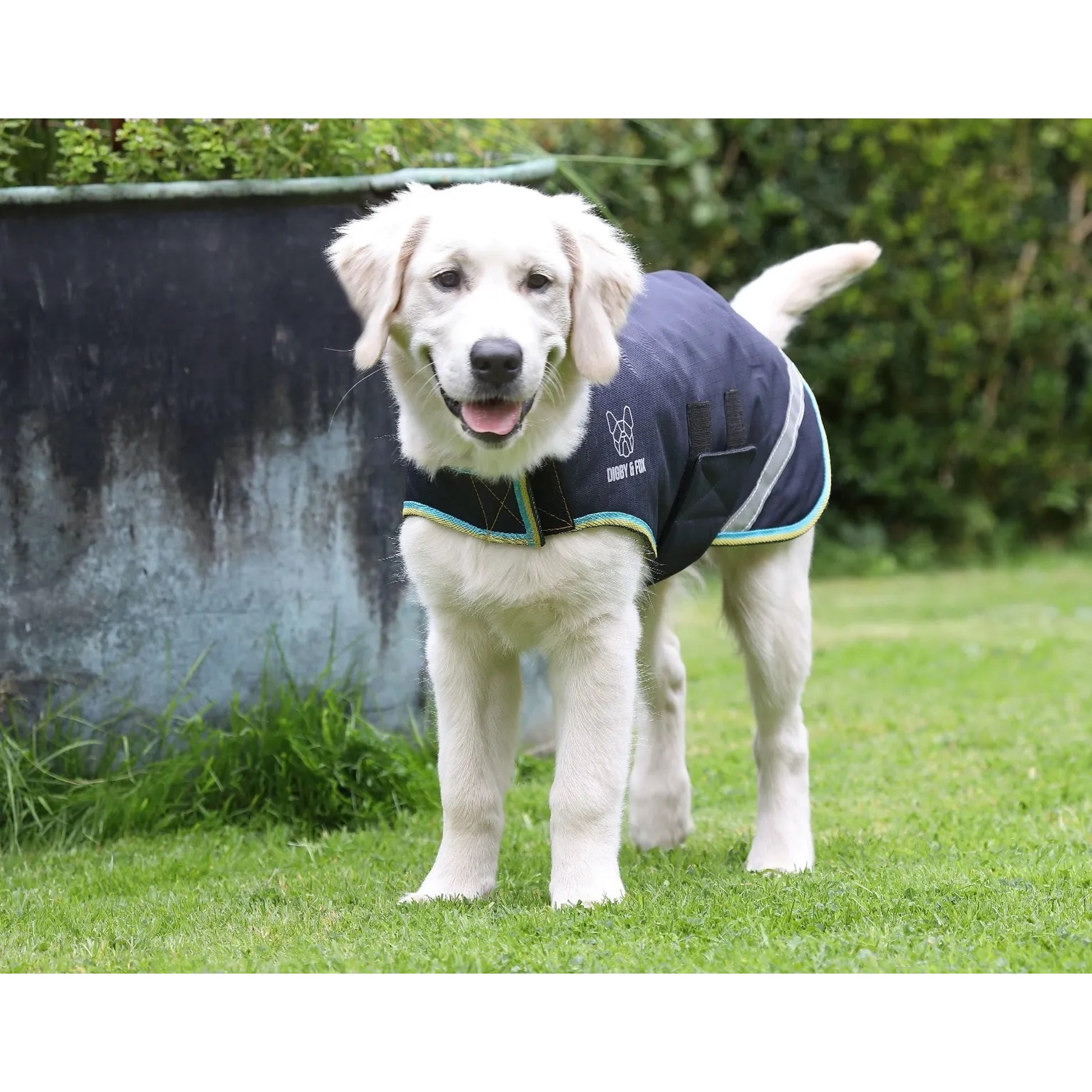 Shires Digby Fox Waterproof Dog Coat