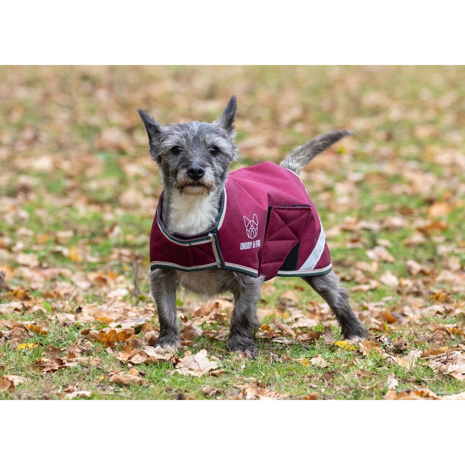 Shires Digby Fox Waterproof Dog Coat
