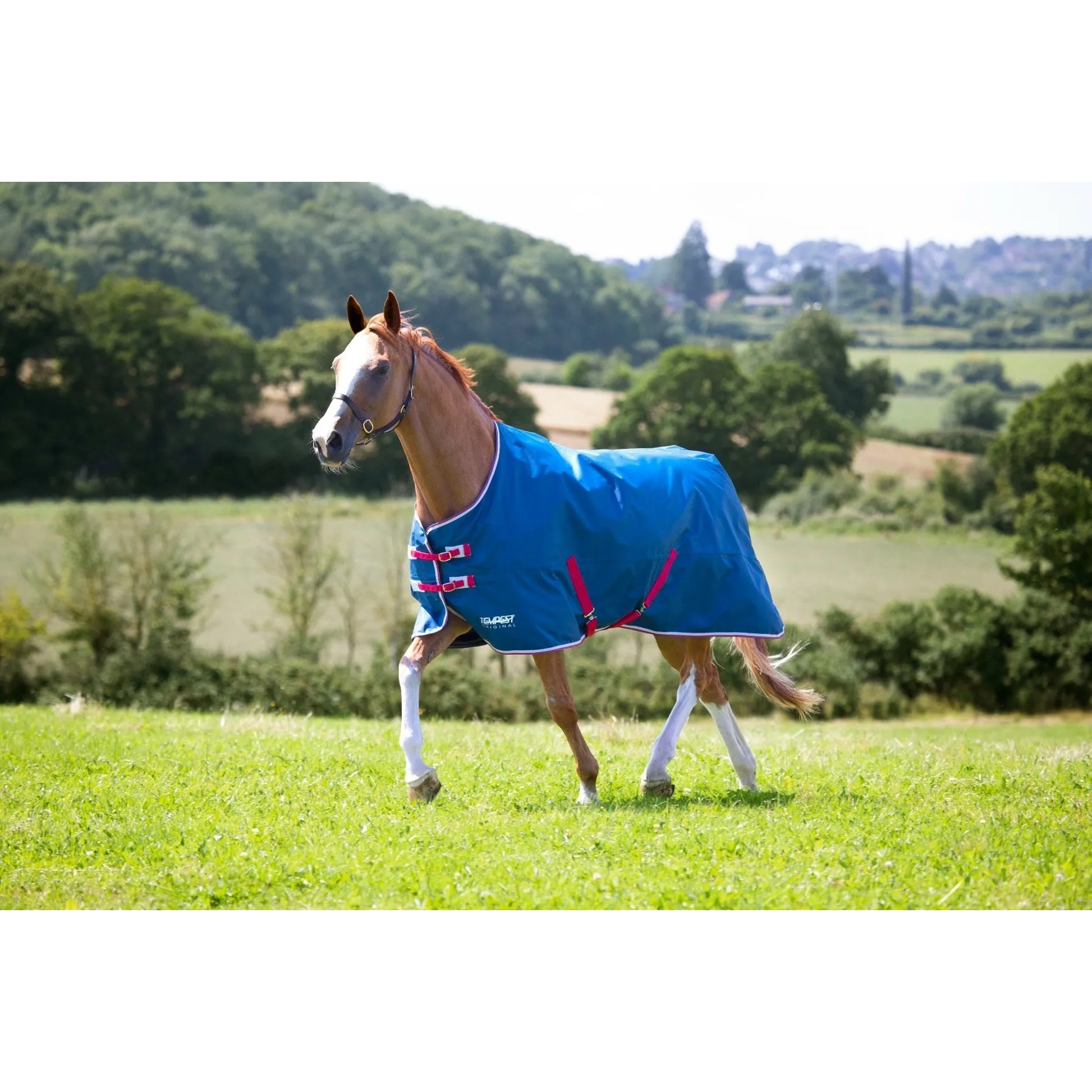 Shires Tempest Original Lite TO