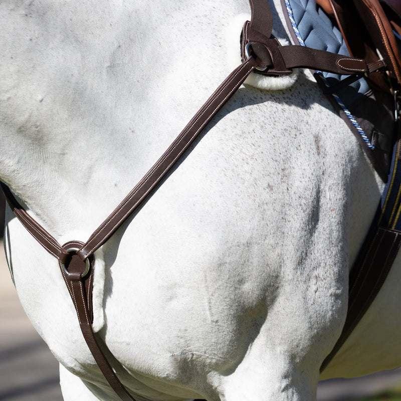 Equinavia Saga 5-point Breastplate