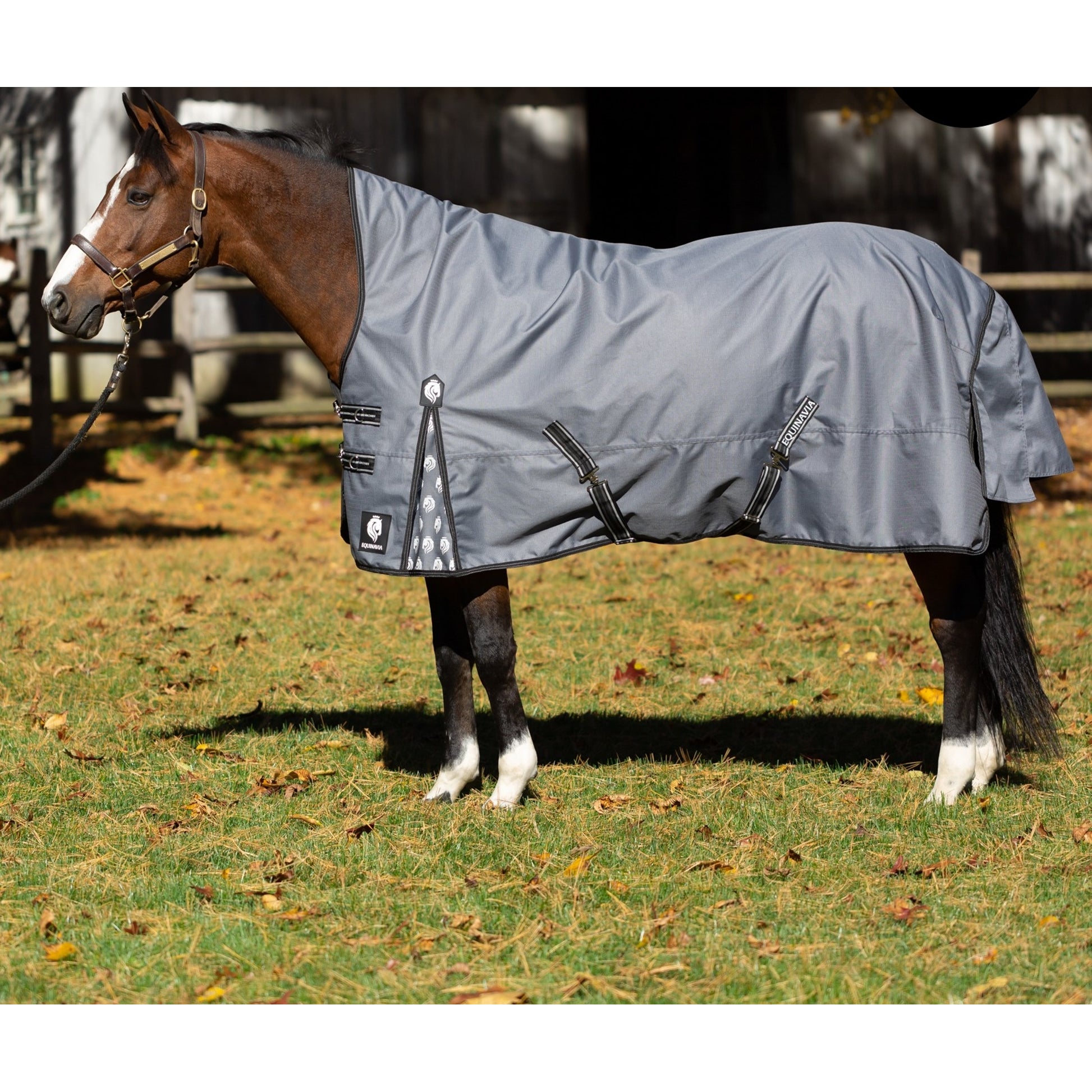 Equinavia Arktis Extended Neck Heavy Weight Turnout Blanket 300g