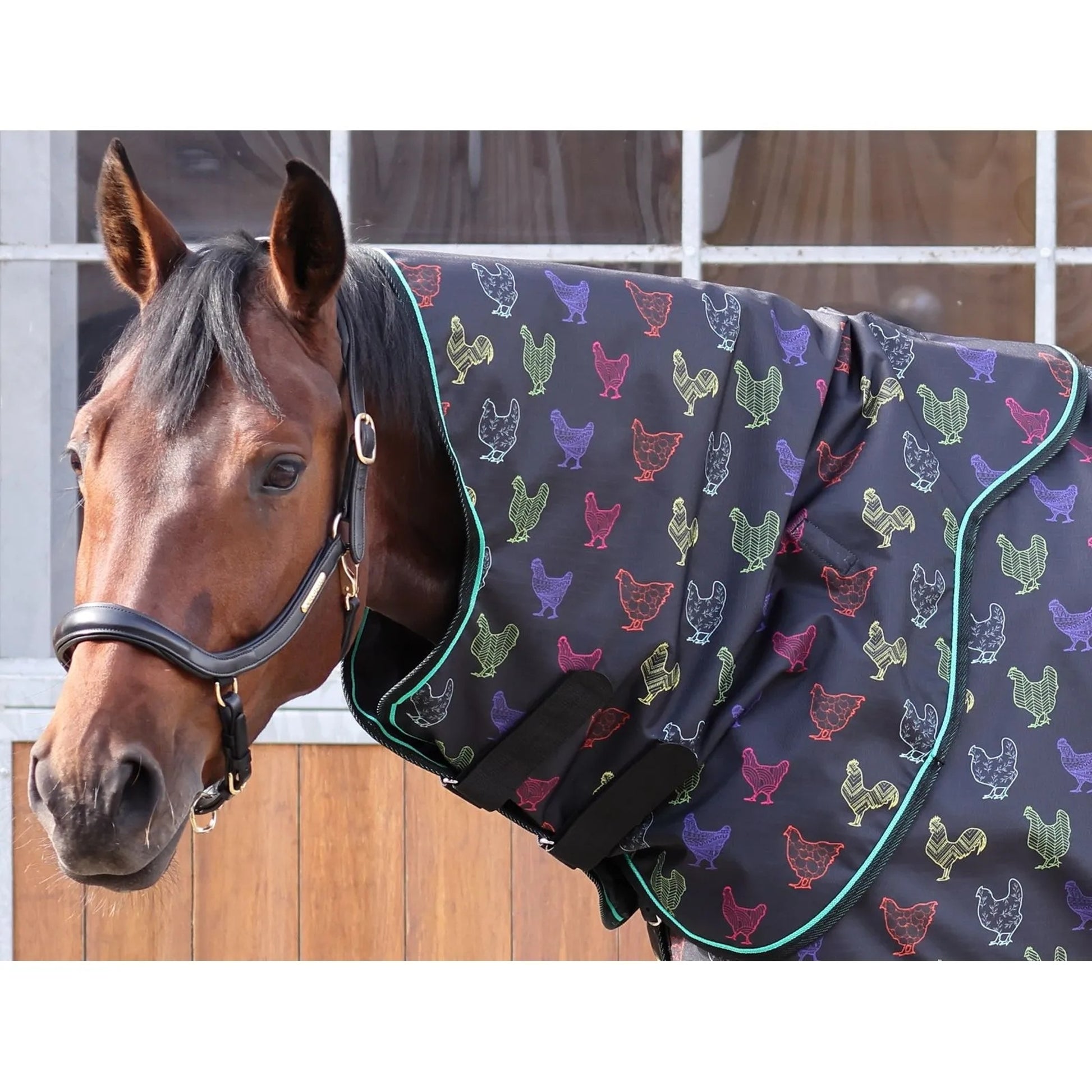 Shires Tempest Org Lite Hood