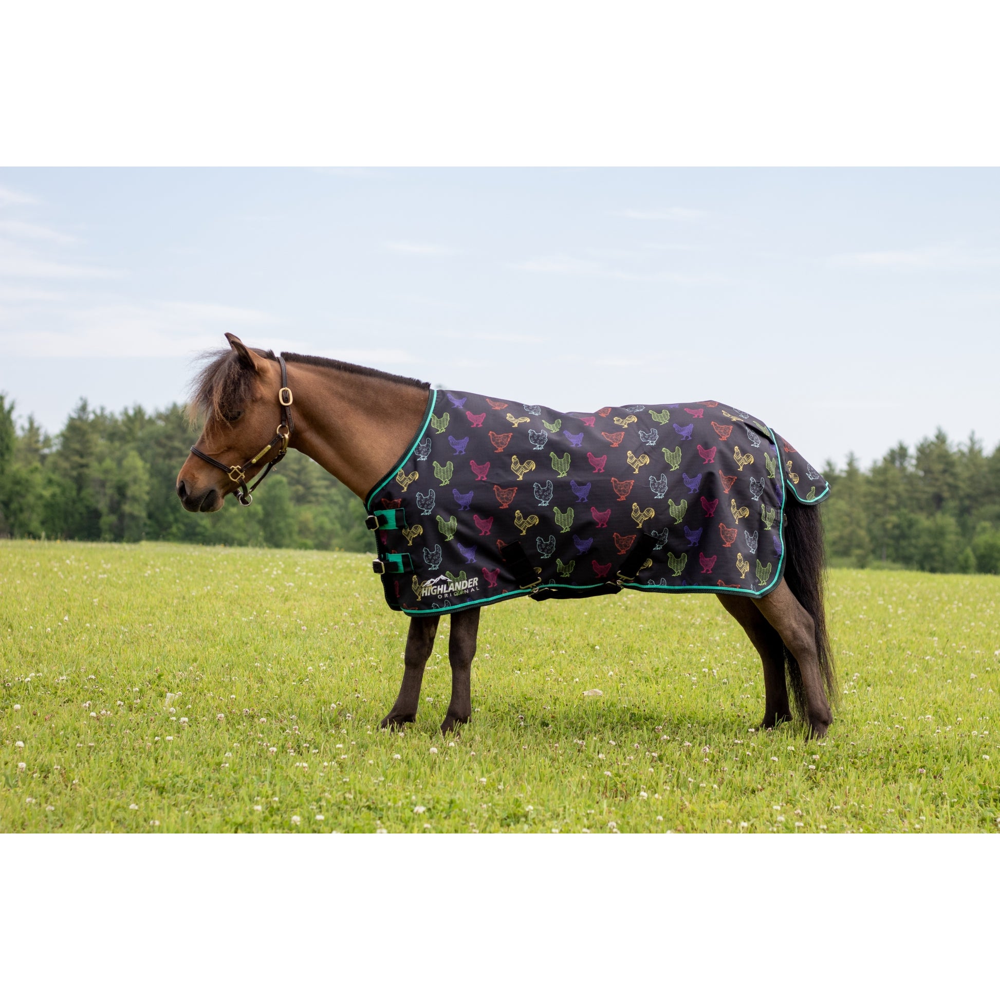 Shires Mini Highlander Lite Turnout
