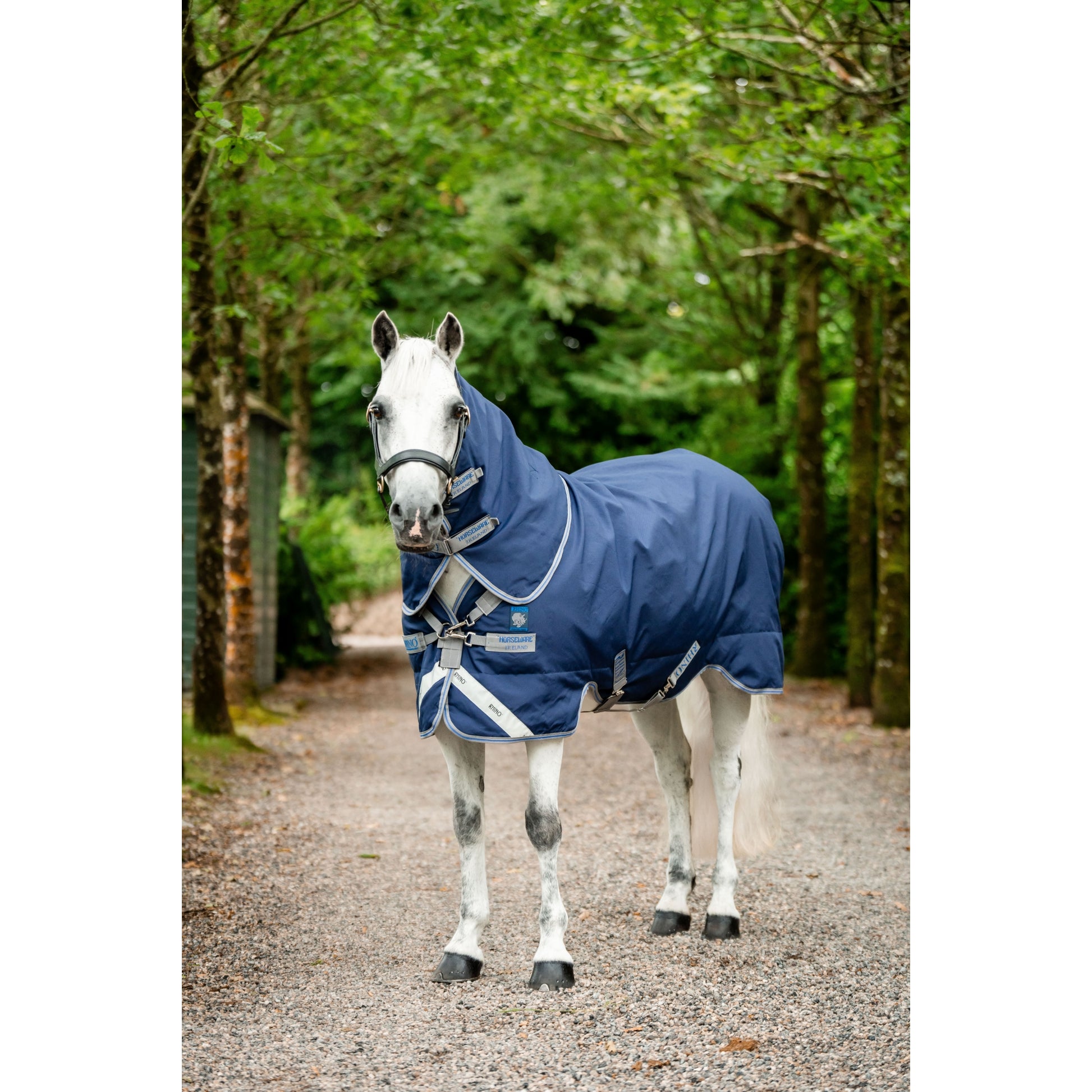 Rhino Plus Pony Turnout (250g Medium)