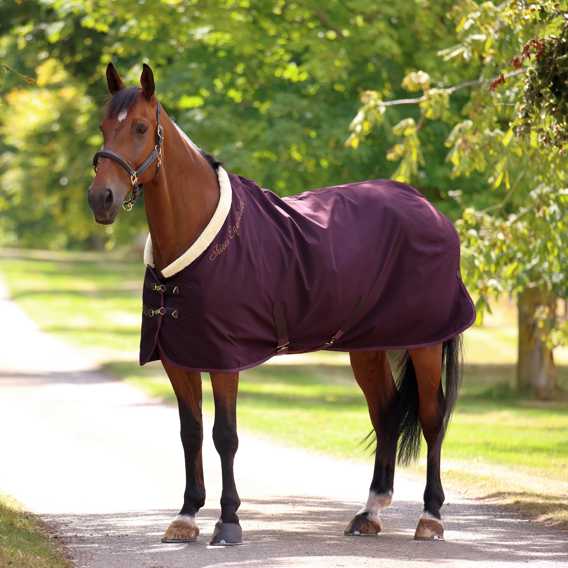 Shires Deluxe Stable Sheet