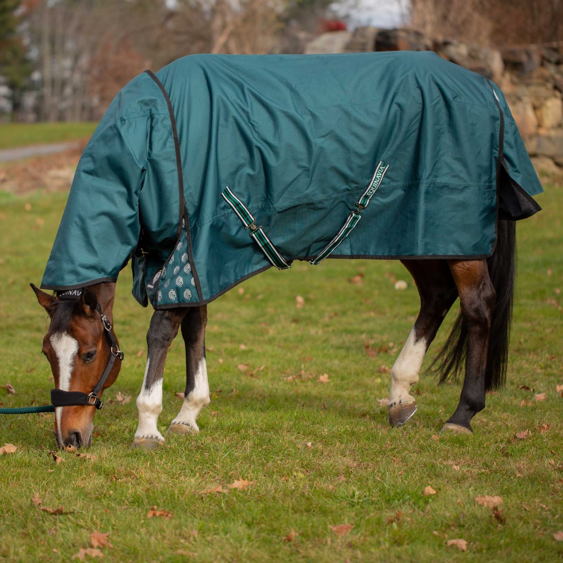 Equinavia Arktis TO Blanket 100g