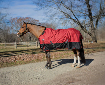 Equinavia Norse Heavy Weight Turnout Blanket 300g