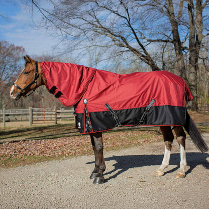 Equinavia Norse Heavy Weight Turnout Blanket 300g
