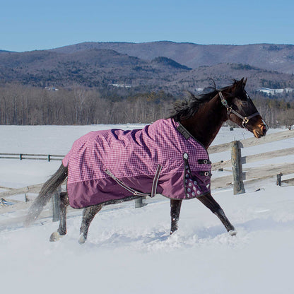 Equinavia Norse Heavy Weight Turnout Blanket 300g