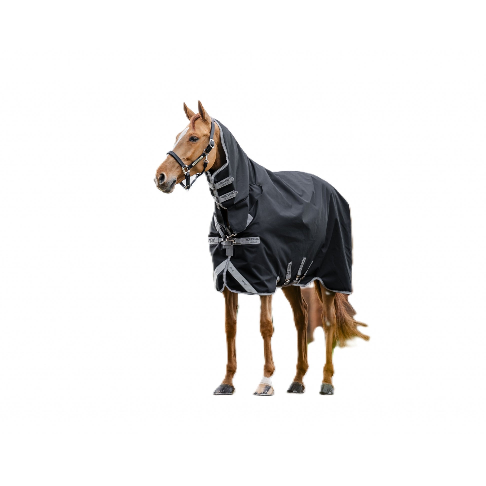 Amigo 1200D Integrated Turnout 0g