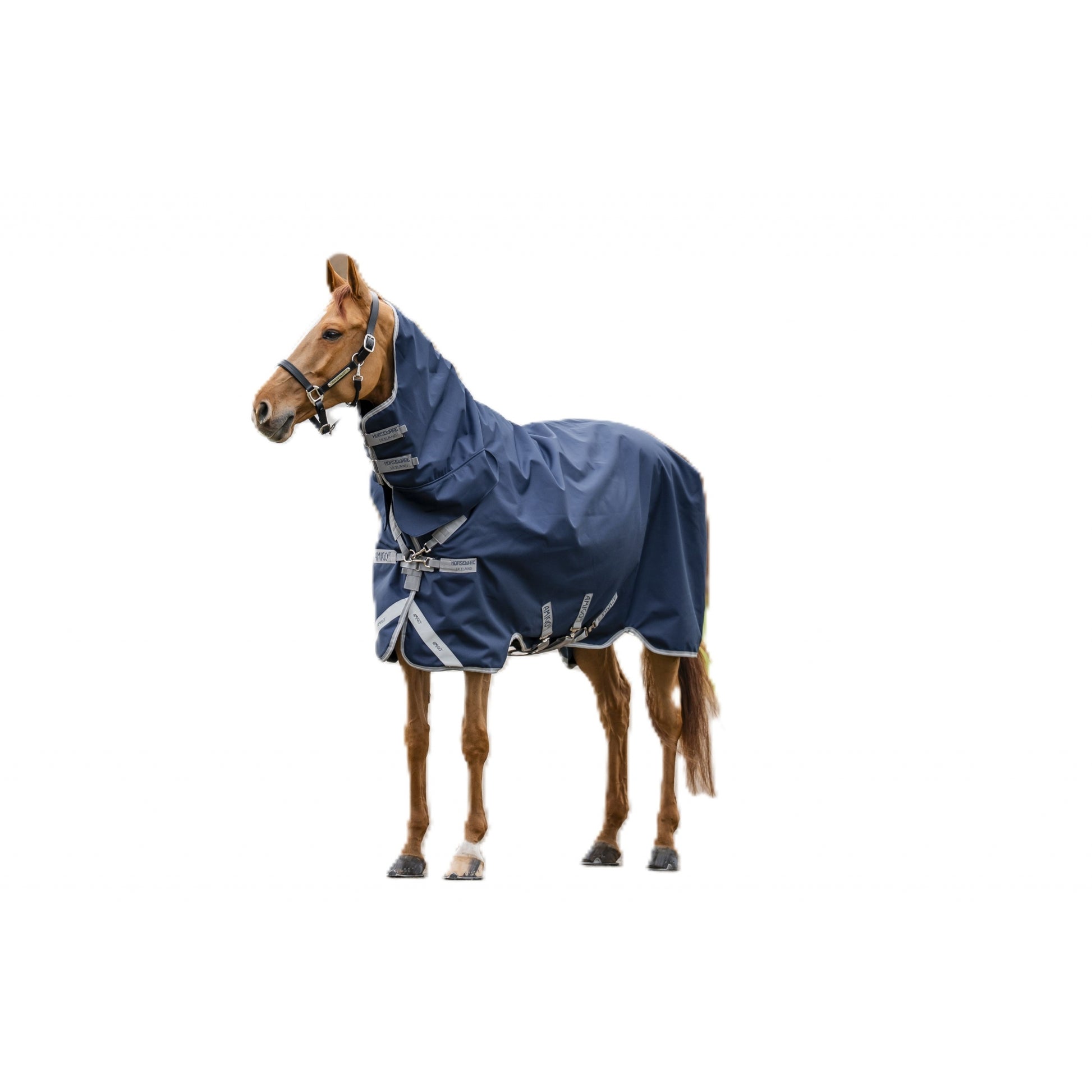 Amigo 1200D Integrated Turnout 250g