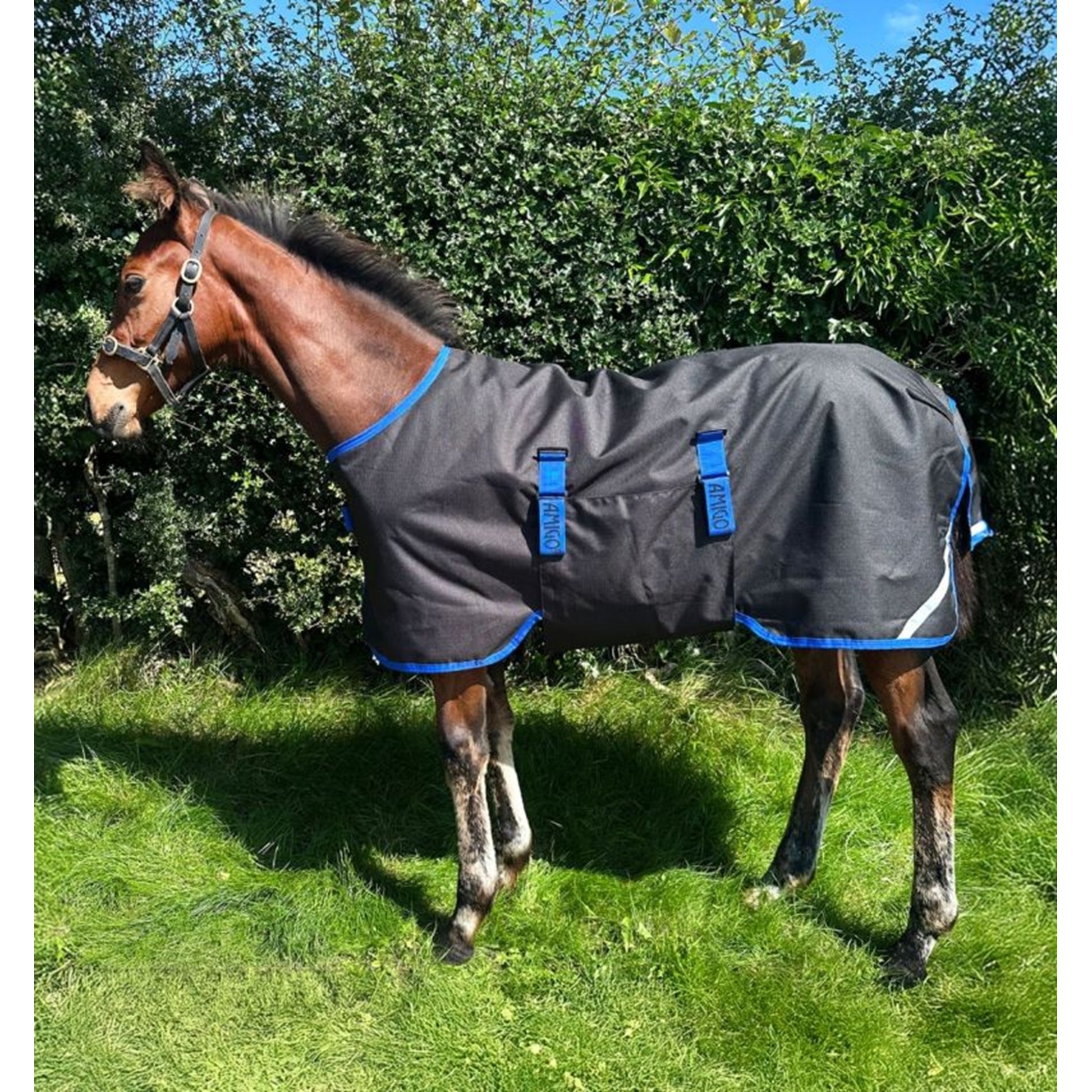 Amigo Ripstop 900D Foal Turnout 200g