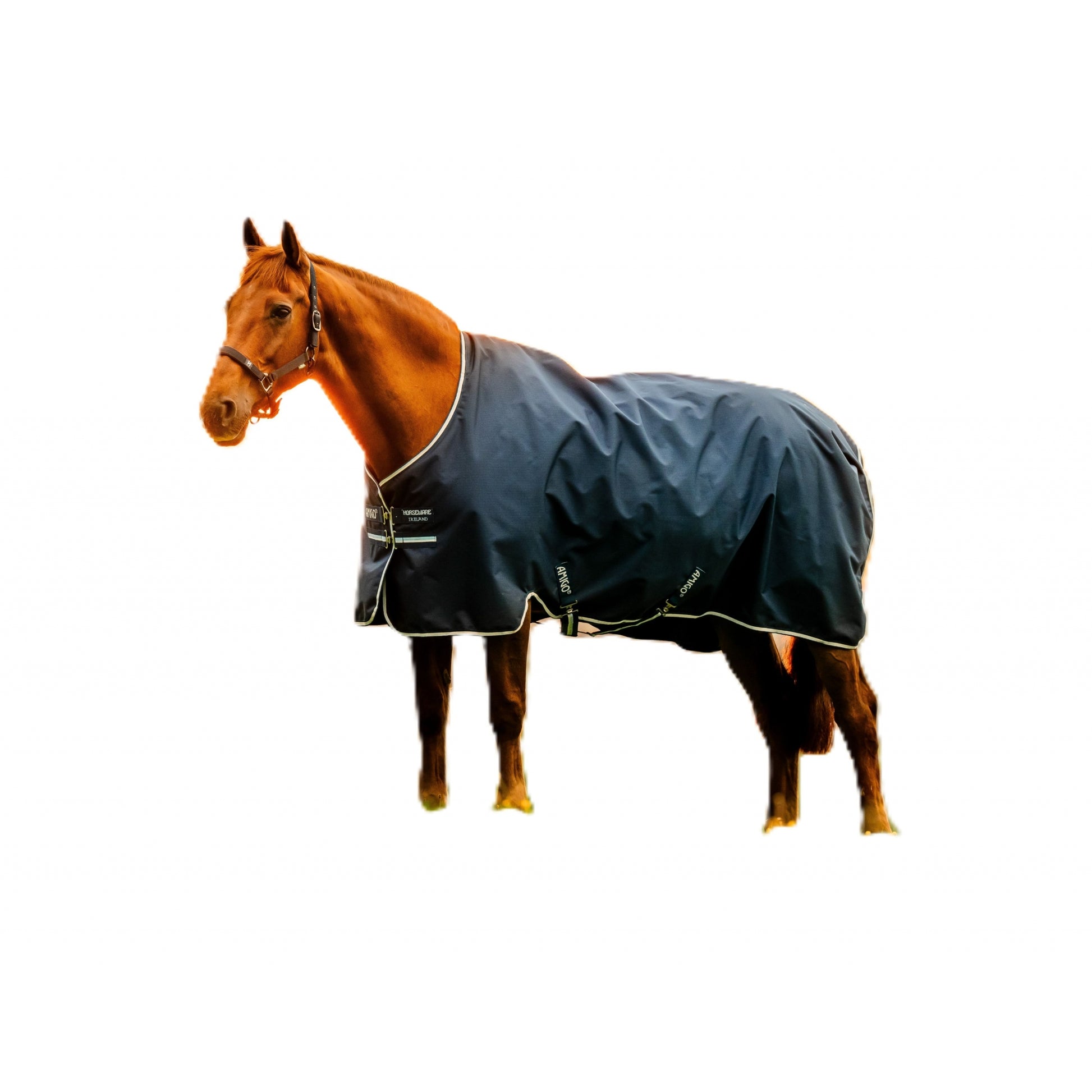 Amigo Ripstop 900D Pony Turnout 50g