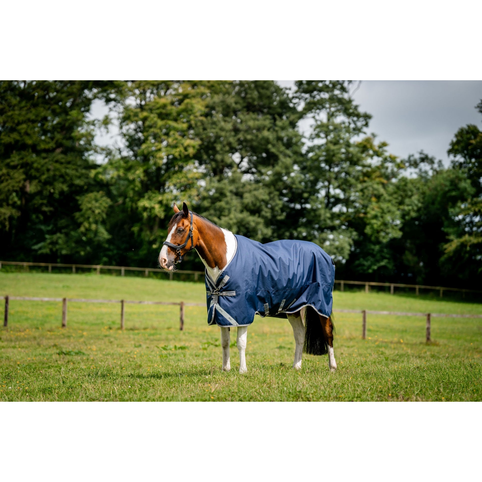 Amigo 1200D XL Turnout 50g