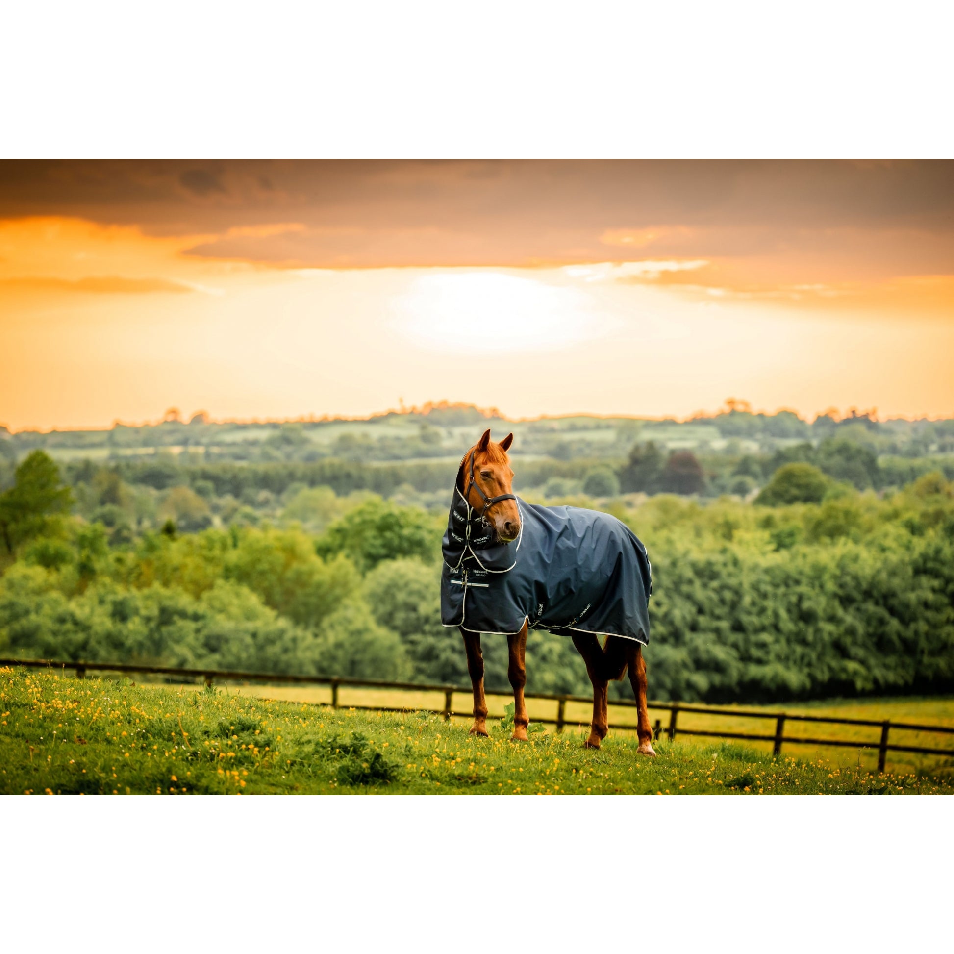 Amigo Ripstop 900D Plus Pony TO 200g
