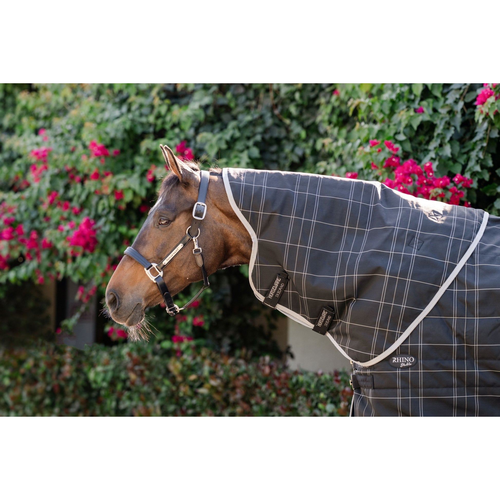 Rhino Stable Hood 100g
