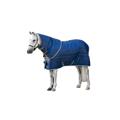 Amigo RS Insulator Plus Stable 200g