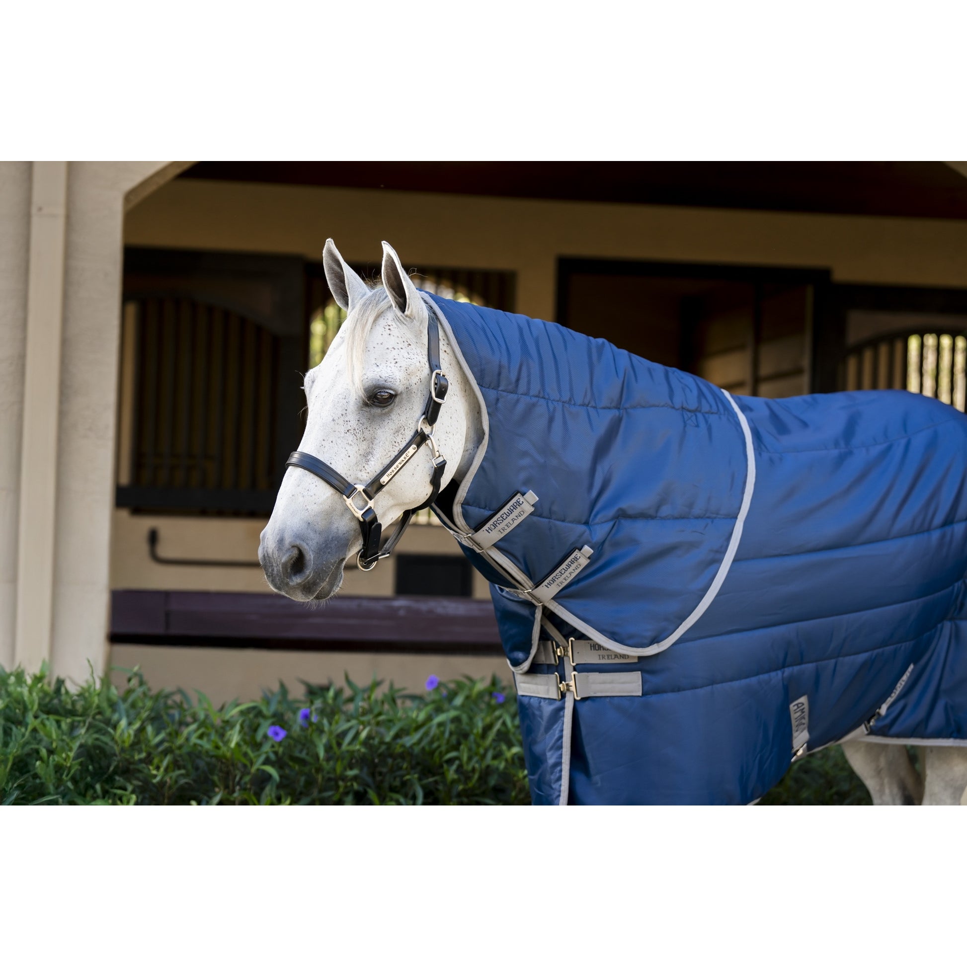 Amigo RS Insulator Stable Hood 100g