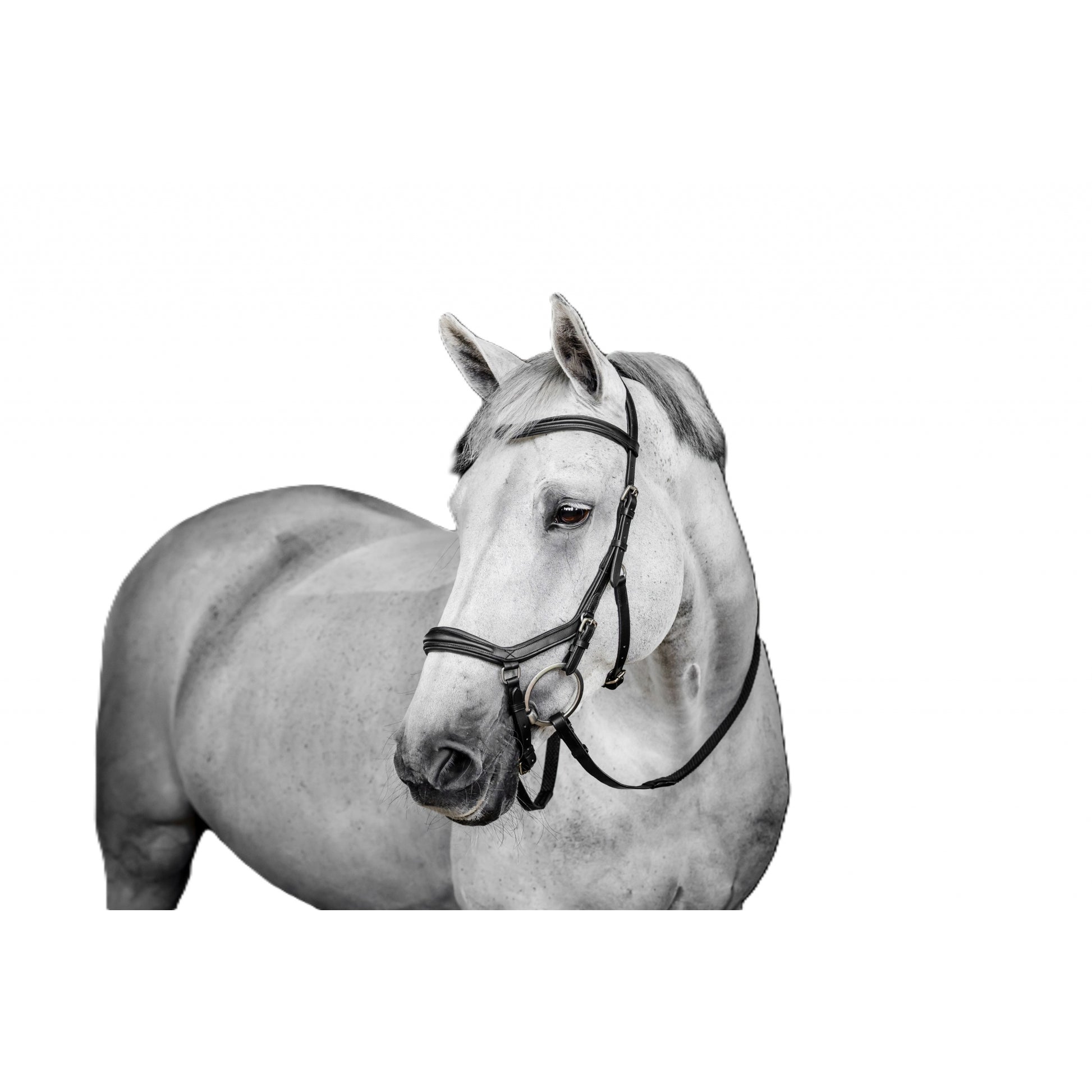 Horseware Micklem Deluxe Competition