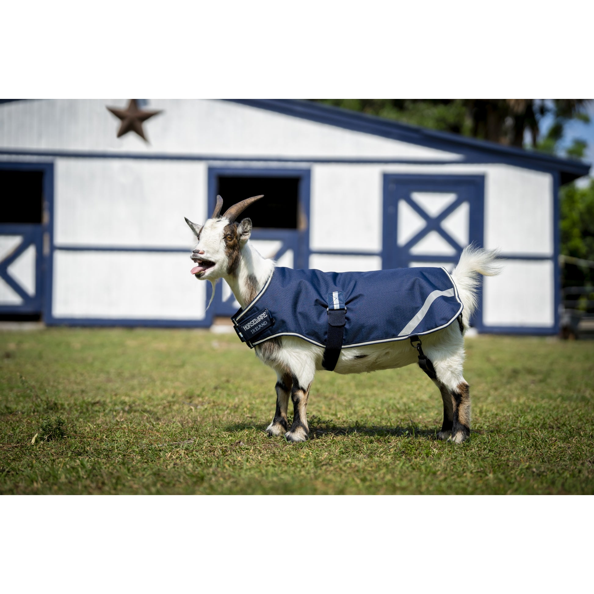 Horseware Goat Coat 100g