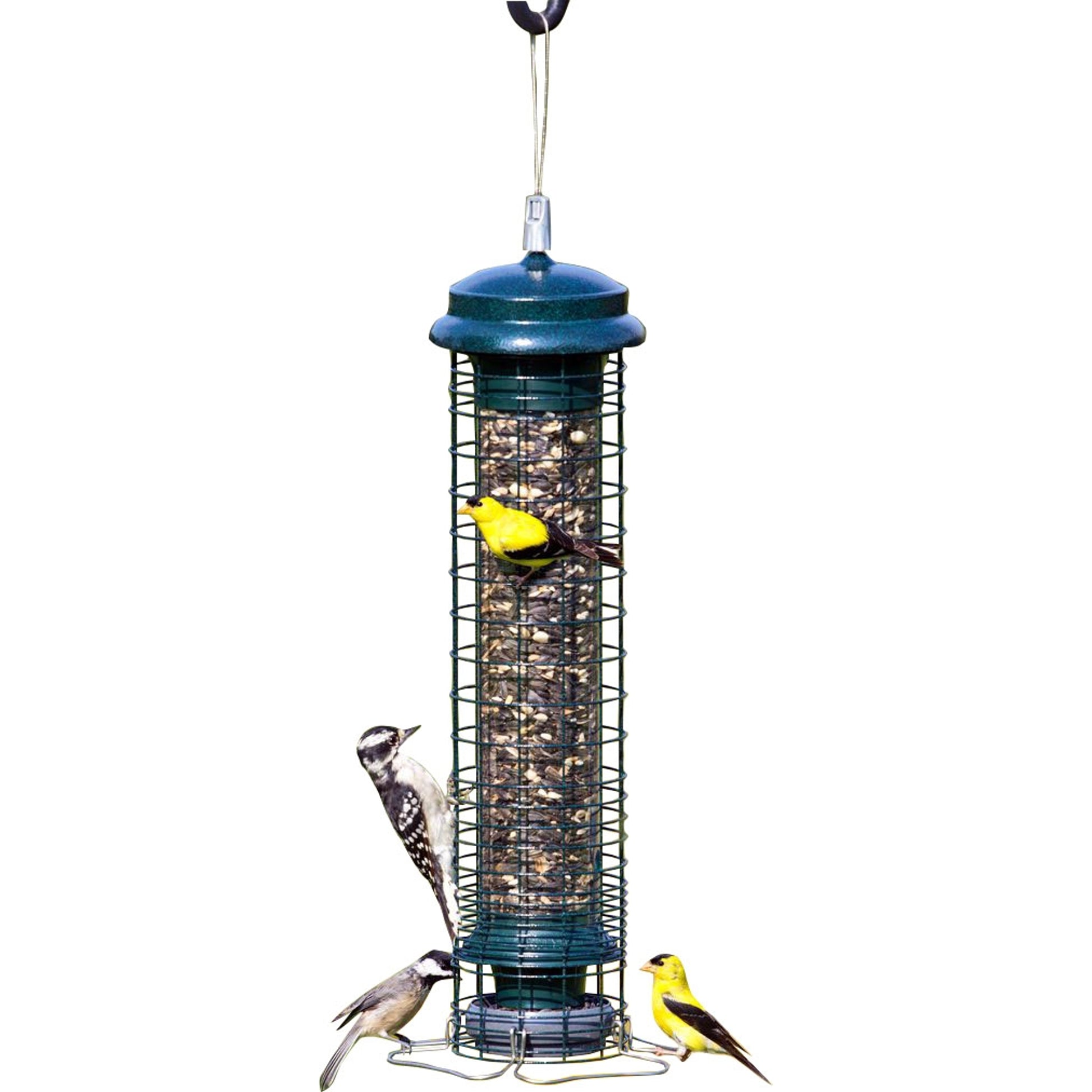 Brome Squirrel Solution 150 Wild Bird Feeder