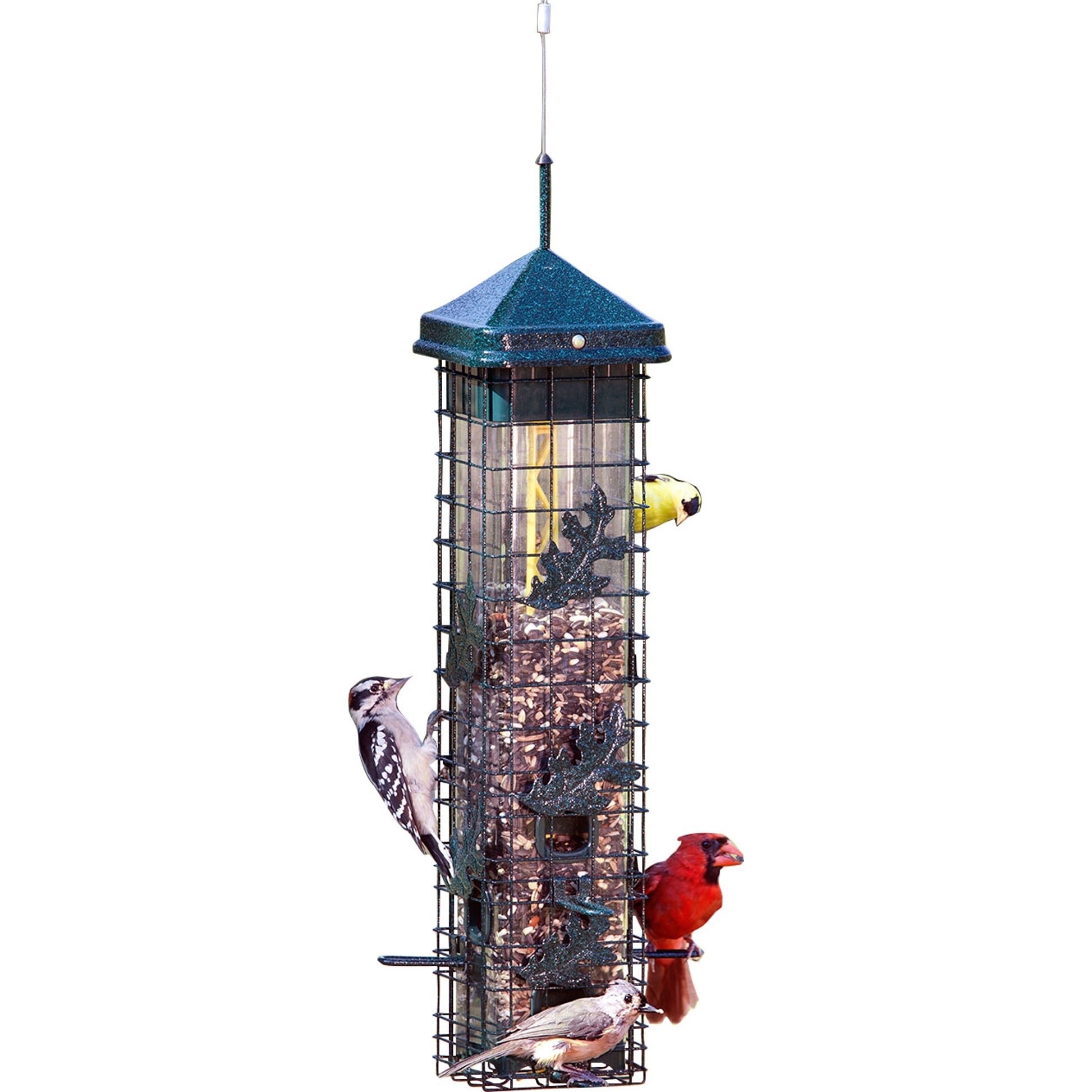 Brome Squirrel Solution 200 Wild Bird Feeder