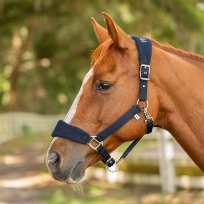 Equinavia Saga Fleece Padded Breakaway Halter