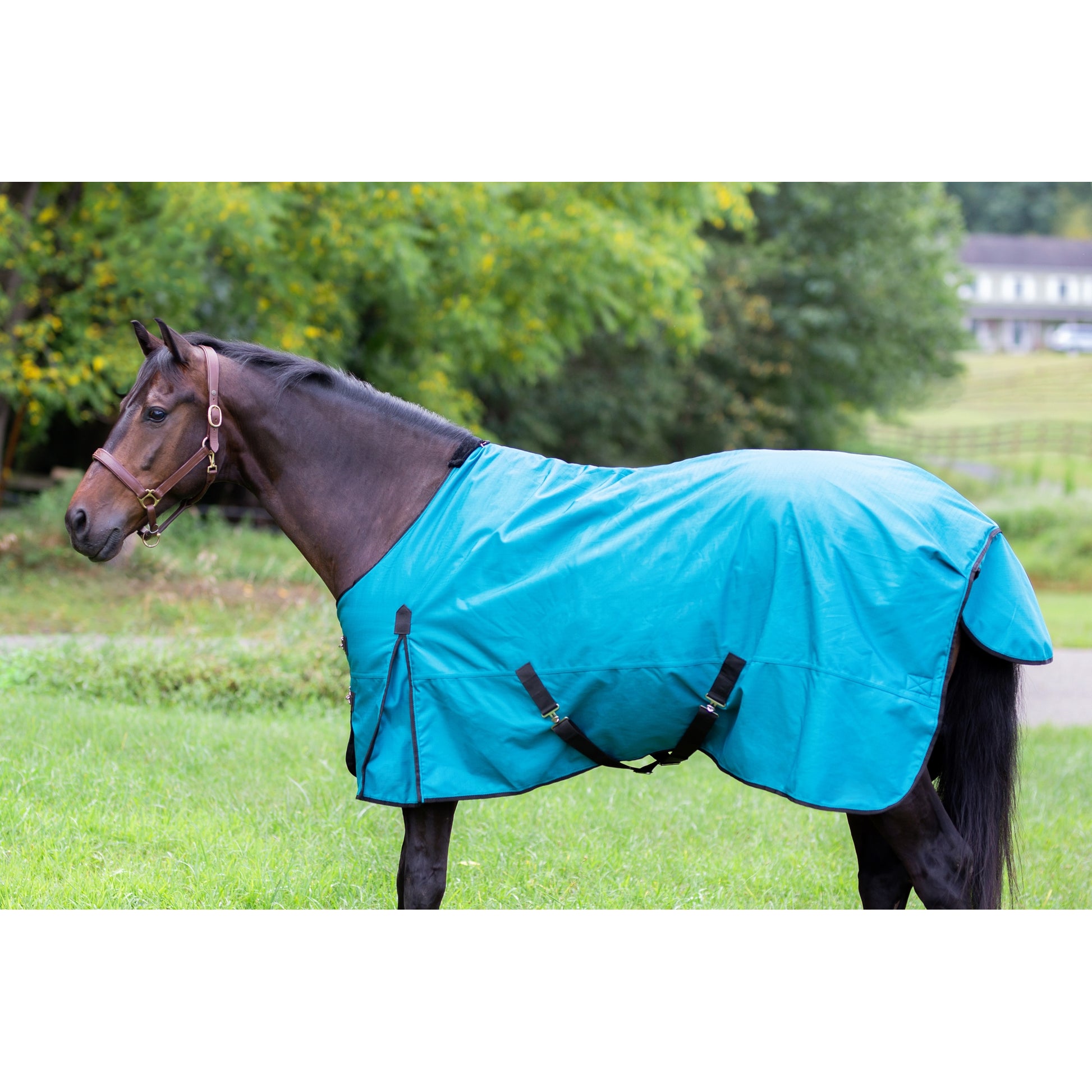 Gatsby Shield 1200D 250g Waterproof Turnout Blanket