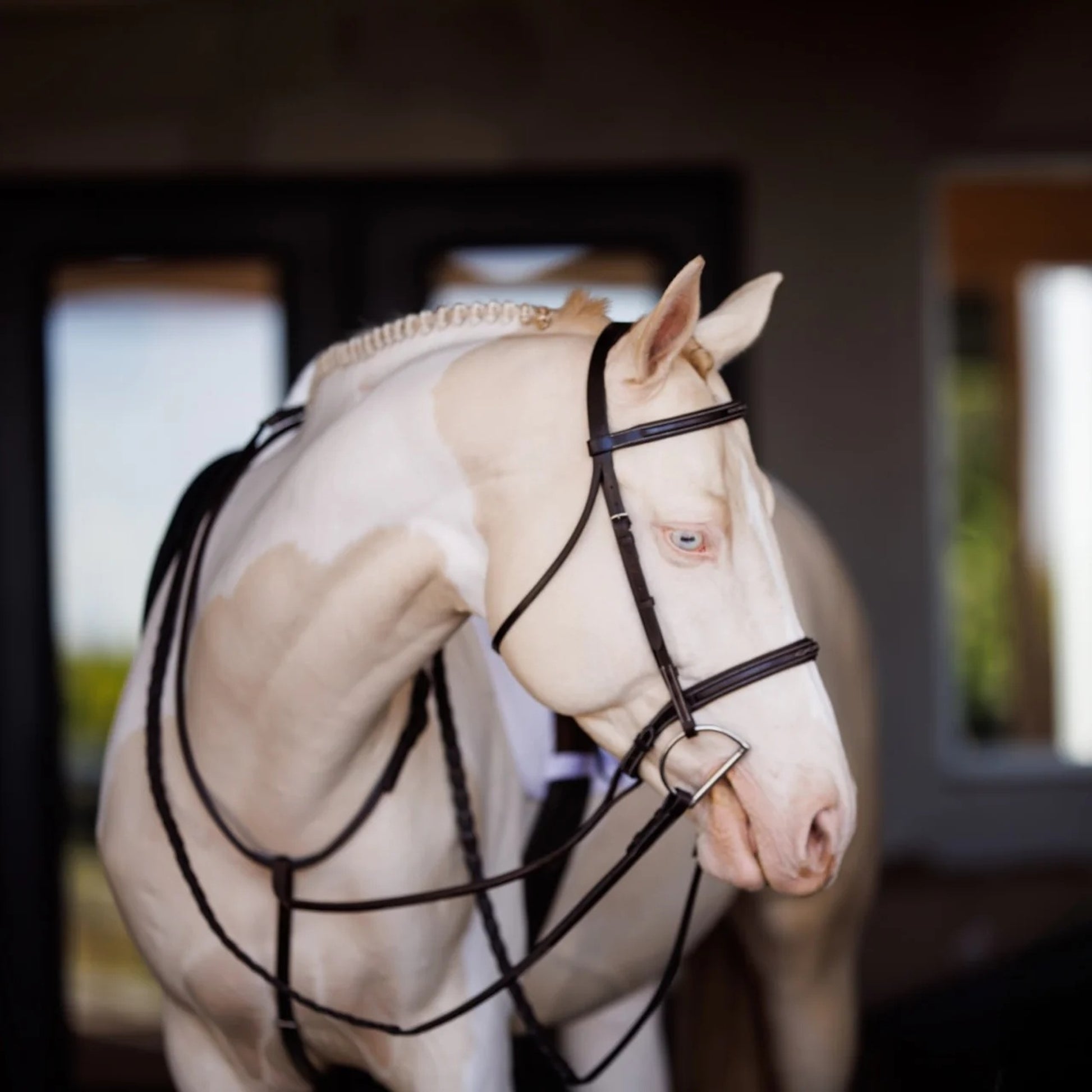 Shires Fancy Square Raised Laced Reins