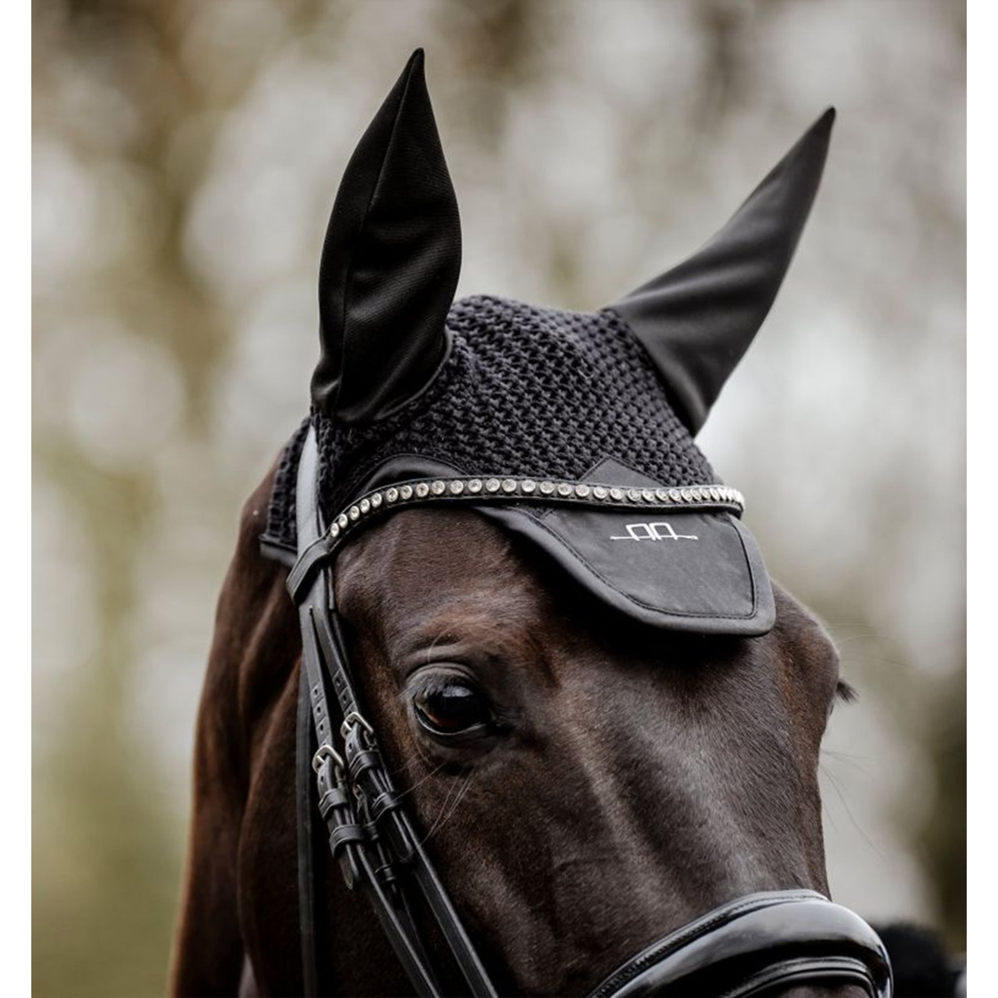 Alessandro Albanese Ear Net
