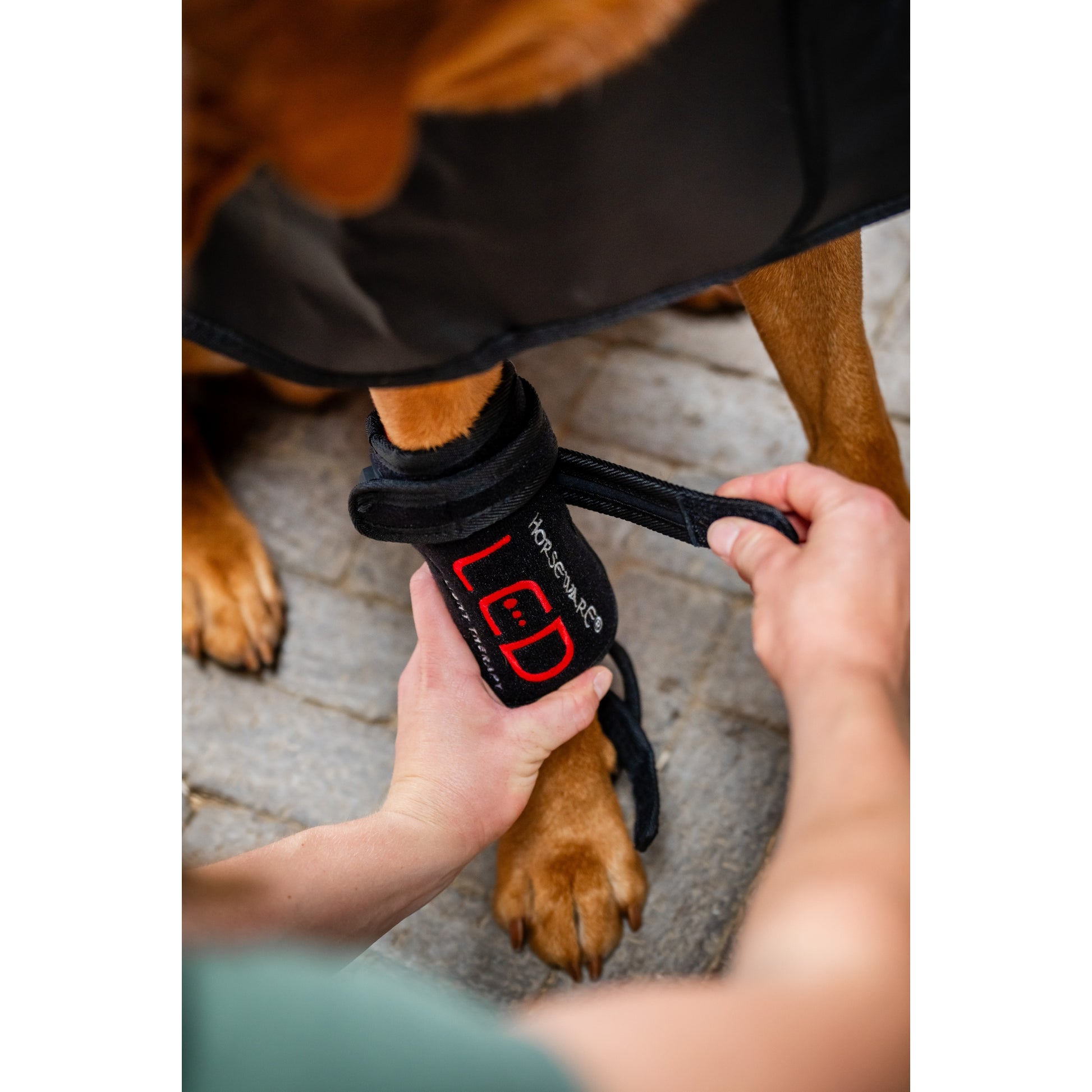 Horseware LED Red Light Therapy Pet Leg Wraps