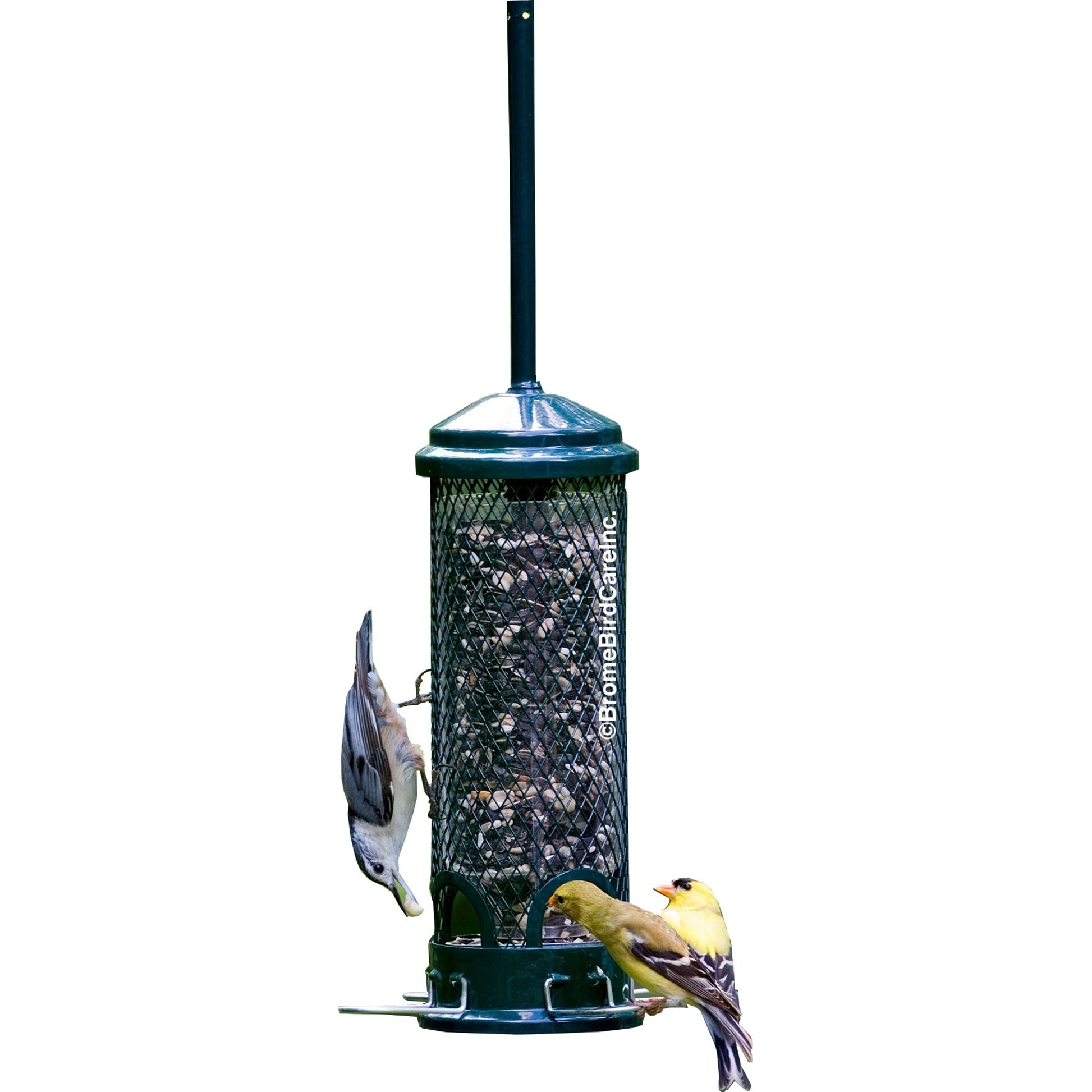 Squirrel Buster