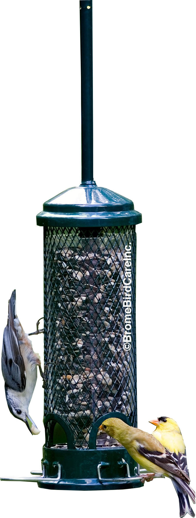 Squirrel Buster