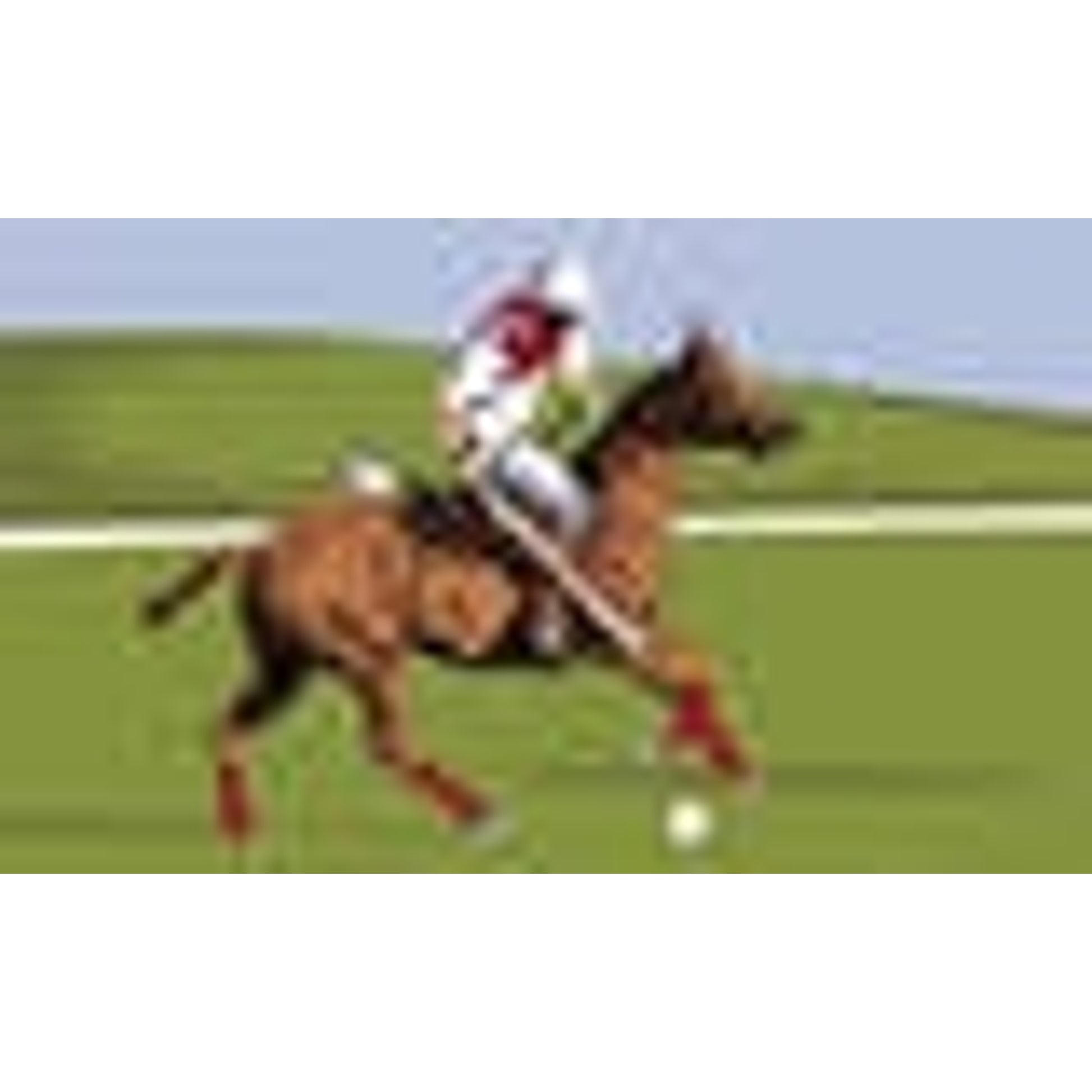 Coir Floor Mat - Polo