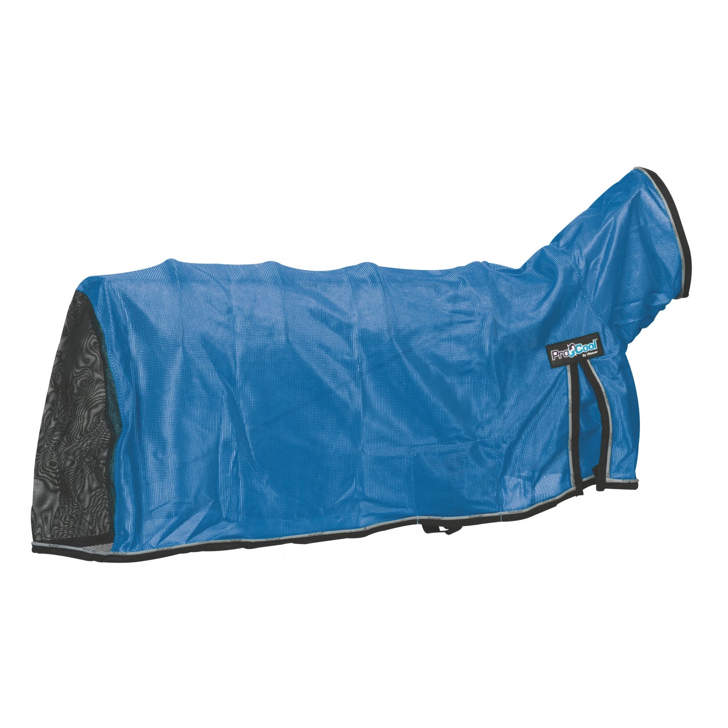 5-933235-blue.jpg