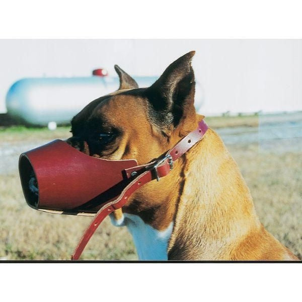 Canine Leather Muzzle