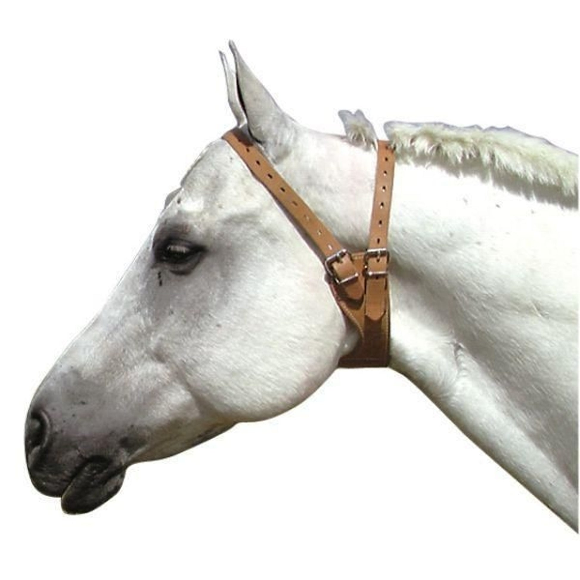 Miracle anti-cribbing Collar