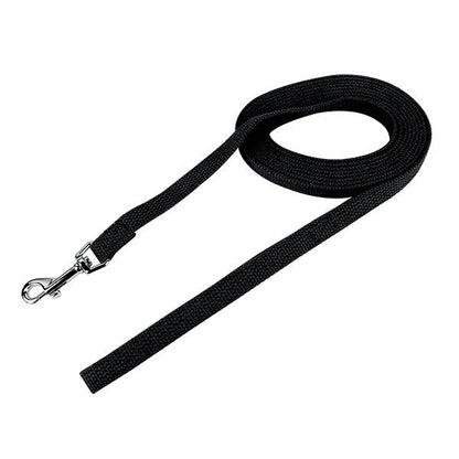 Web Training Lead Green