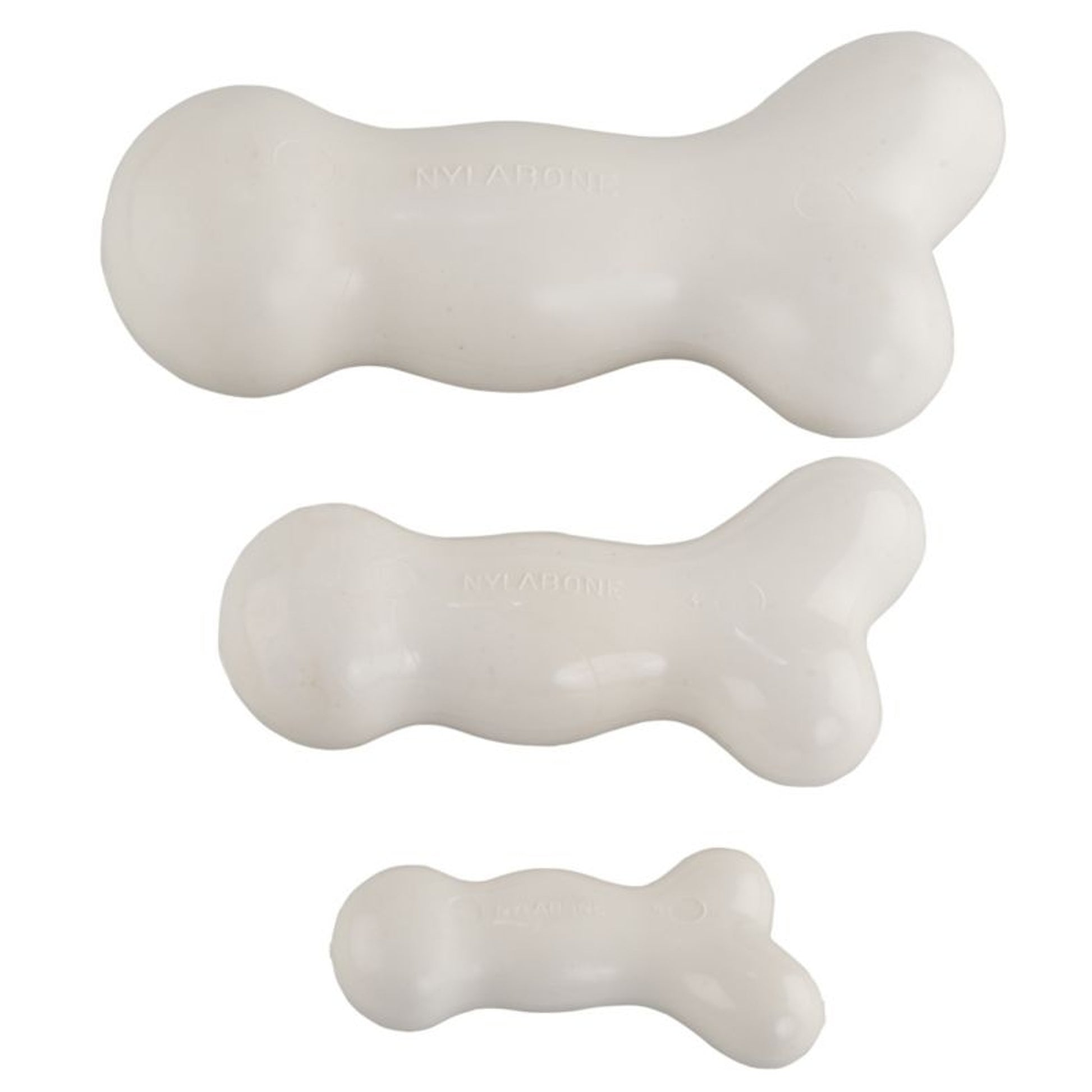 Nylabone Dura Chew Galileo Dog Chew