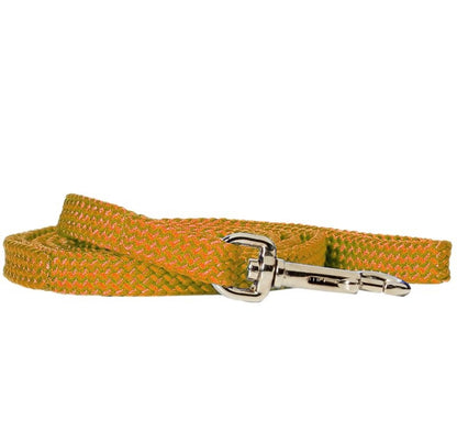 Rainbow Nylon Puppy Lead