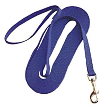 Nylon Training Lead - Blue
