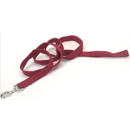 Personalized Soy Dog Lead