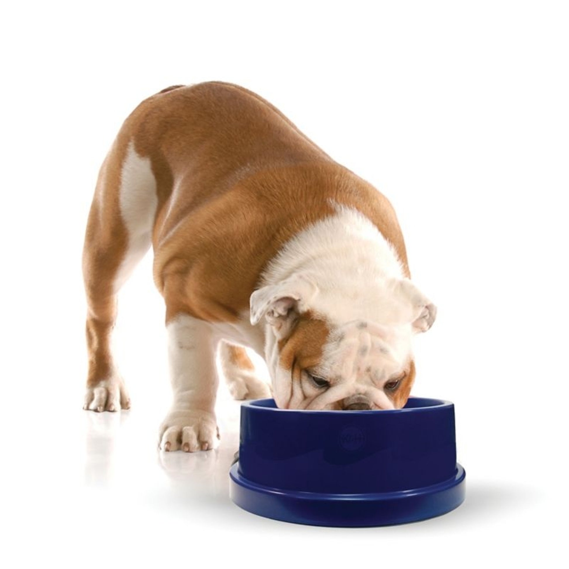 KH Mfg Coolin Pet Bowl