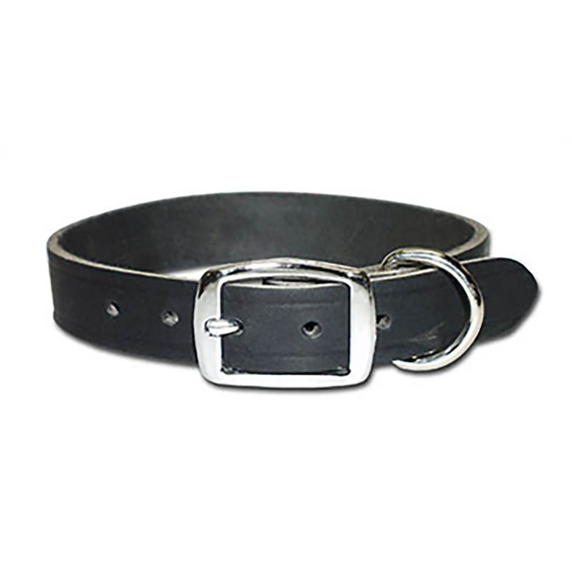 Premium Latigo Leather Dog Collar