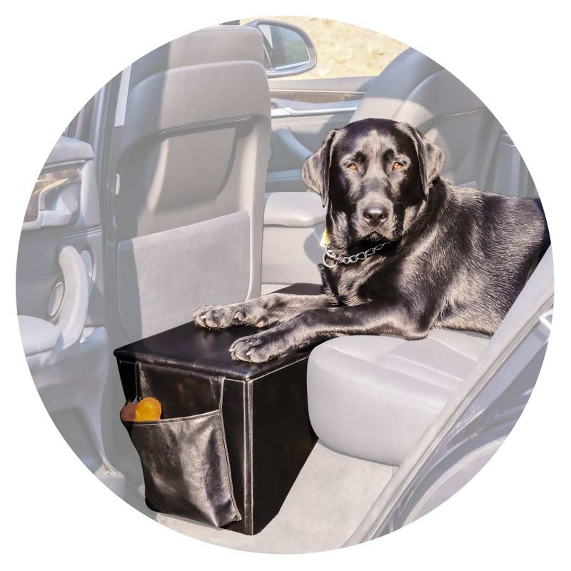 Pet Therapeutics Voyager Sturdy Backseat Extender