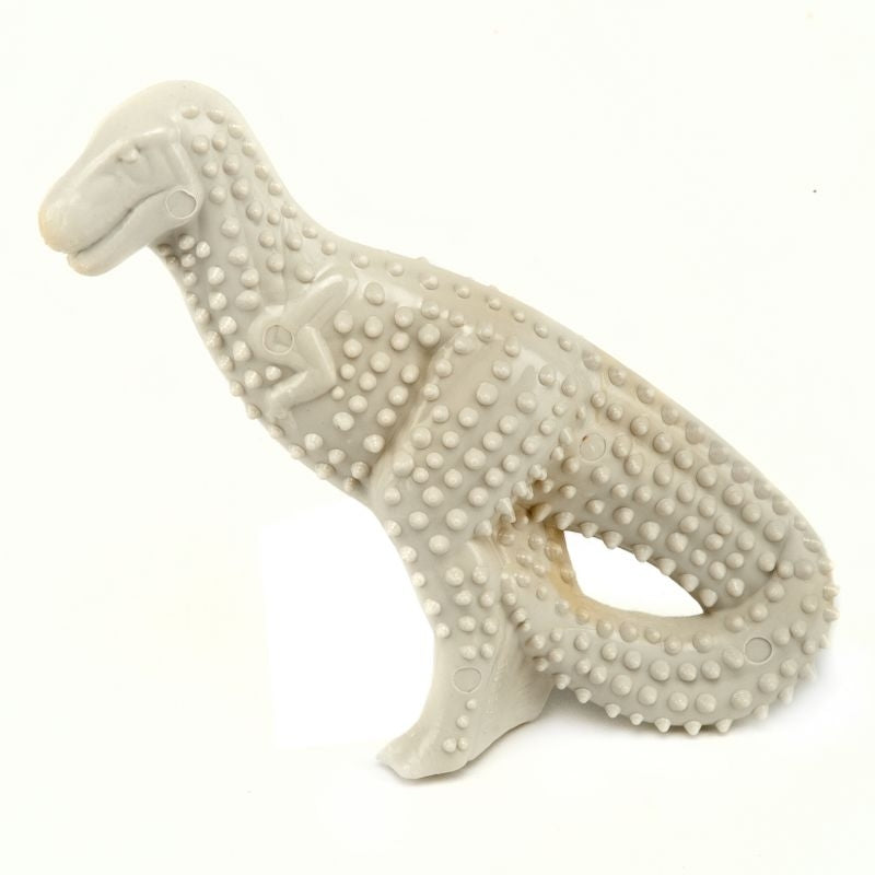 Nylabone Durable Dental Dinosaur Dog Chew