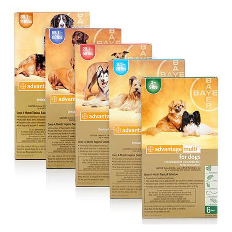 Advantage Multi for Dogs